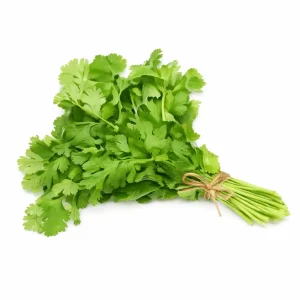 Culantro - Atado 100g