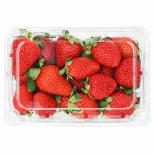 Fresa Orgánica Jumbo - Pack 500g