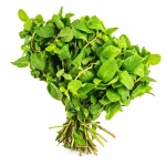 Hierba Buena - Atado 100g