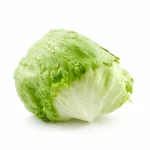Lechuga Americana