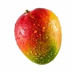 Mango Kent