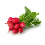 Rabanito - Pack 8und