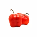 Rocoto