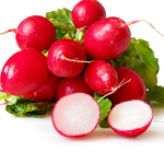 Mini Rabanitos