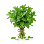 Menta - Atado 100g