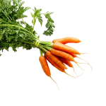 Baby Carrots